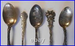 5 Sterling Silver Lrg Souvenir Spoons Ornate Floral Sanitarium Michigan Colorado