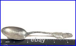 Genesee Falls ROCHESTER New York RED JACKET Native Indian Sterling Silver Spoon