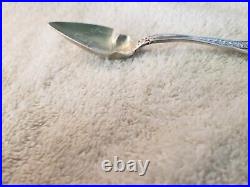 Northpoint Baltimore sterling silver Citrus SOUVENIR SPOON with Turtle by D&H