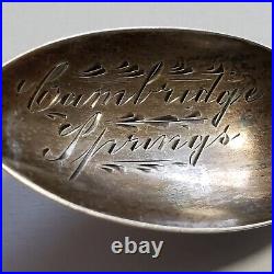Sterling Silver Souvenir Spoon Cambridge Springs PA Engraved SKU-FL0631