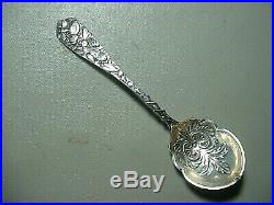 VERY Rare Antique Sterling Wm Durgin & Co. NH 1885 Bug Pattern Berry Spoon