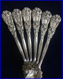Very Rare -Iris 1900by Durgin Sterling Silver Grapefruit 6 Spoons 5 7/8