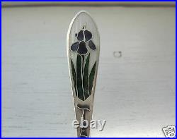 Vintage American Sterling & Enamel Flower Tennessee Souvenir Spoon